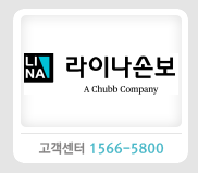 라이나손보
